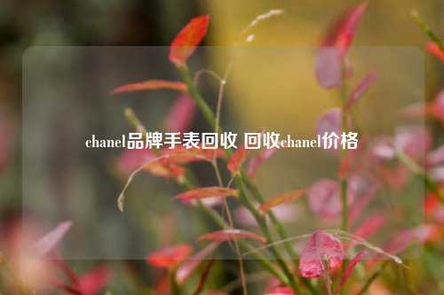 chanel品牌手表回收 回收chanel价格