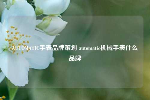 AUTOMATIC手表品牌策划 automatic机械手表什么品牌