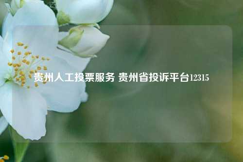 贵州人工投票服务 贵州省投诉平台12315