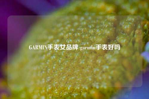 GARMIN手表女品牌 garmin手表好吗