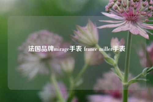 法国品牌mirage手表 france miller手表