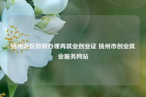 扬州地区如何办理再就业创业证 扬州市创业就业服务网站